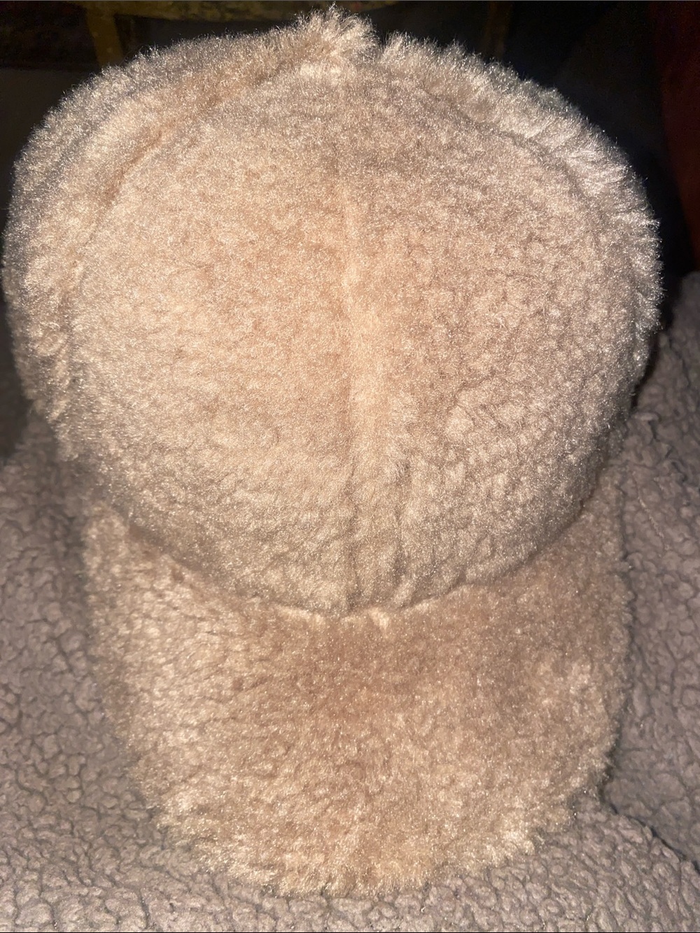 Cozy Faux Shearling Baseball Cap - Beige